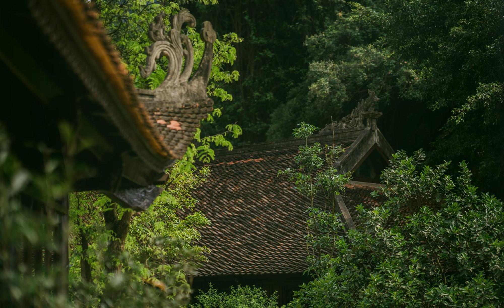 宁平 Jiva Hoa Lu Retreat酒店 外观 照片