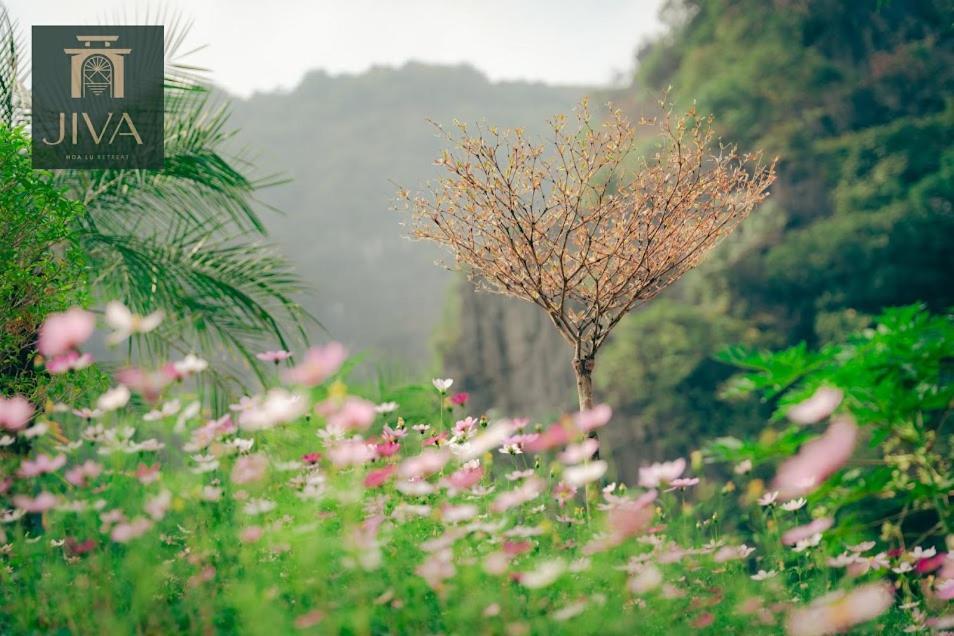 宁平 Jiva Hoa Lu Retreat酒店 外观 照片